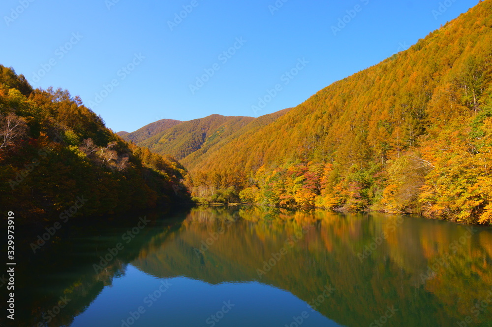 Japanese autumn forest and dam lake Japanese autumn forest and dam lake