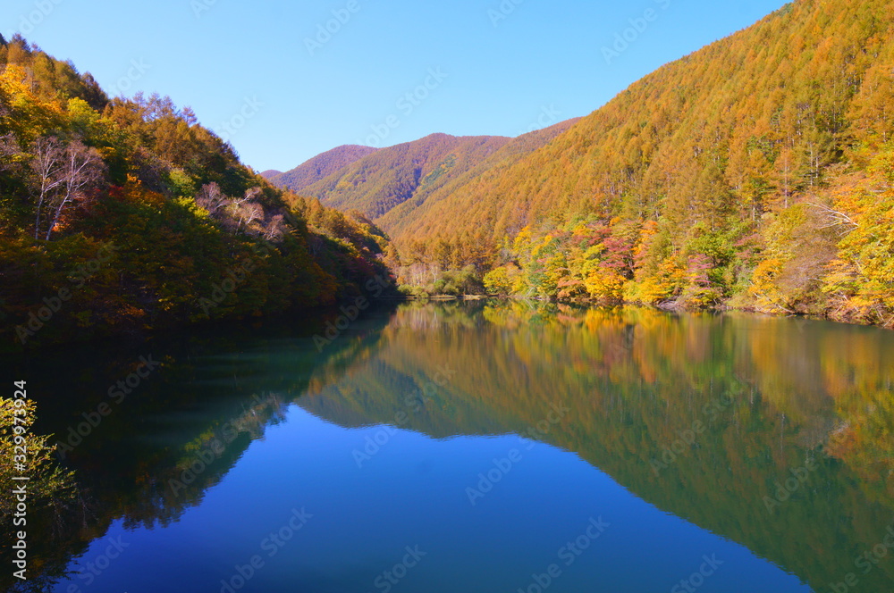 Japanese autumn forest and dam lake Japanese autumn forest and dam lake