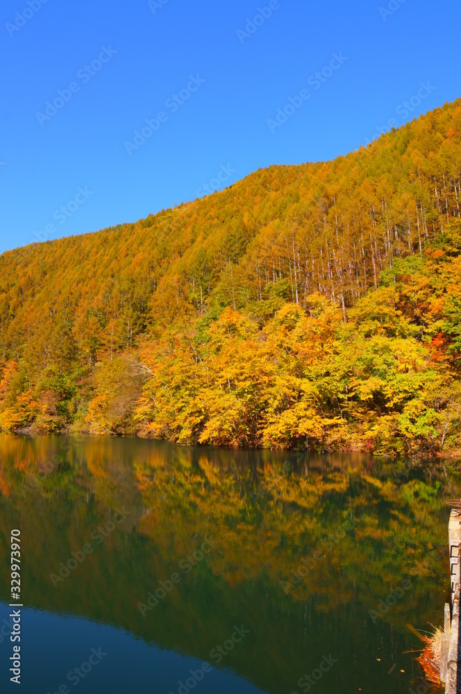 Fototapeta premium Japanese autumn forest and dam lake