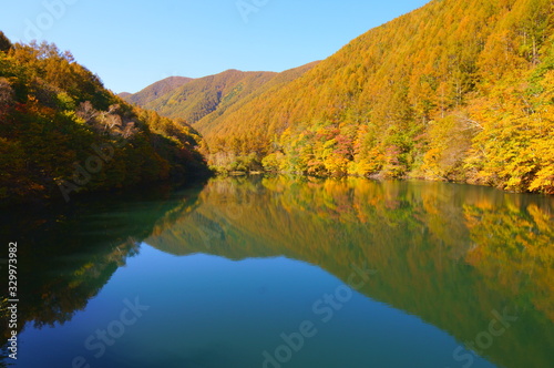 Japanese autumn forest and dam lake