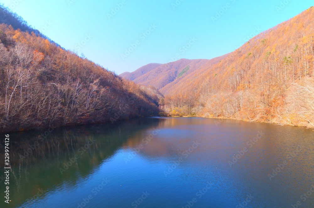 Japanese autumn forest and dam lake