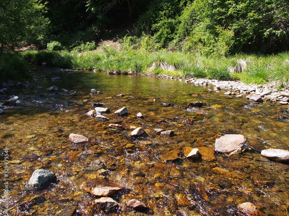 Japanese mountain stream and moss Japanese mountain stream and moss