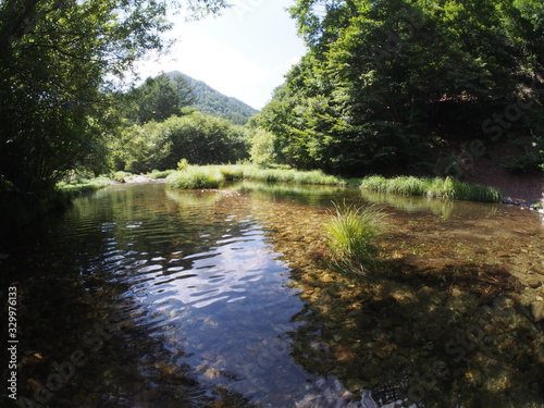 Japanese forest and mountain stream water