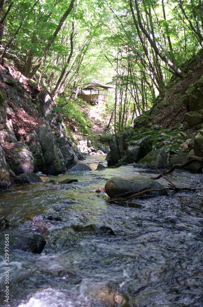 Japanese forest and mountain stream water Japanese forest and mountain stream water