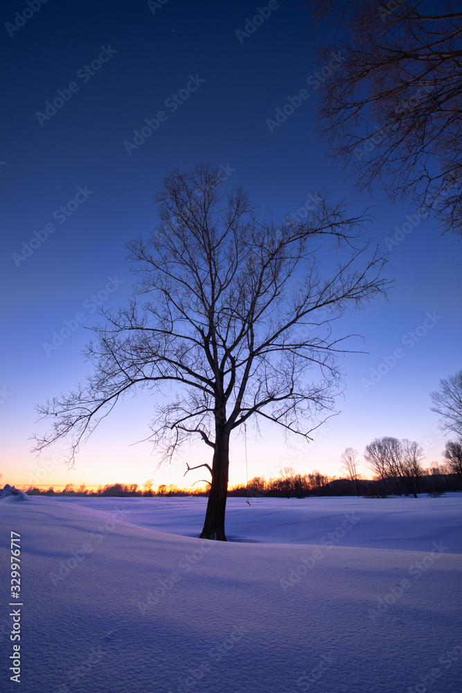 amazing landscape with bare tree on frozen snow-covered meadow near forest in winter early morning amazing landscape with bare tree on frozen snow-covered meadow near forest in winter early morning