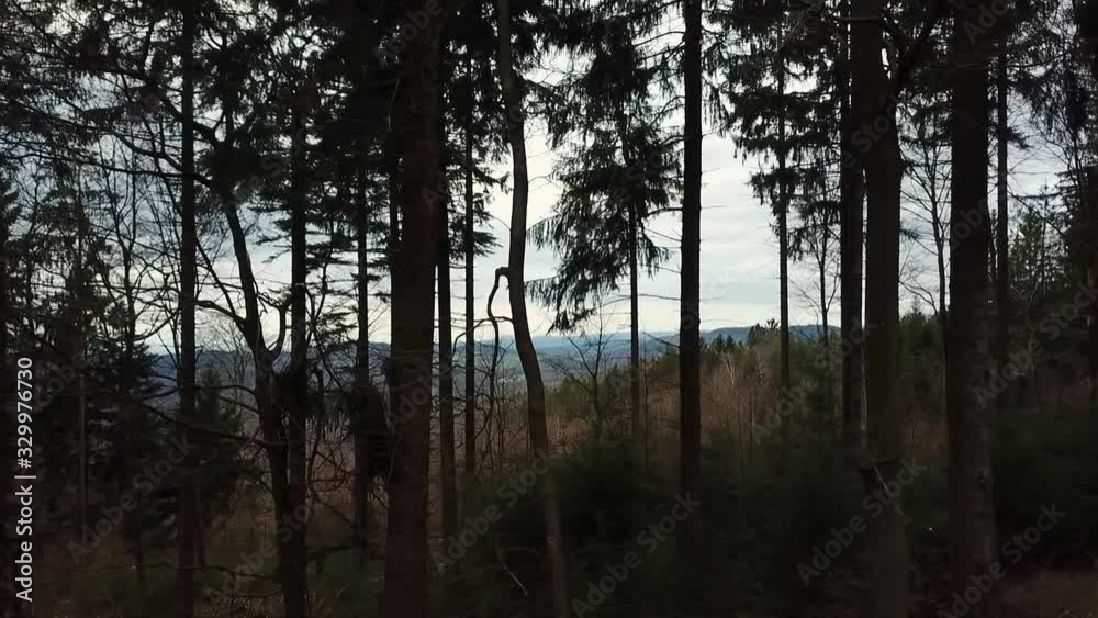 Flying sideways through woodland with with to mountains ahead. Flying sideways through woodland with with to mountains ahead.