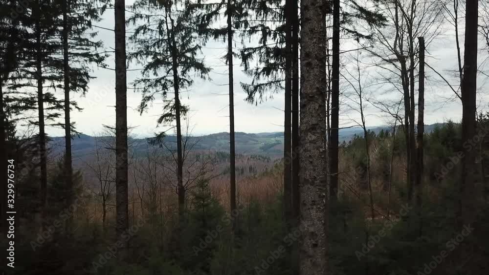 Flying sideways in forest with view of beautiful landscape, Europe. Flying sideways in forest with view of beautiful landscape, Europe.
