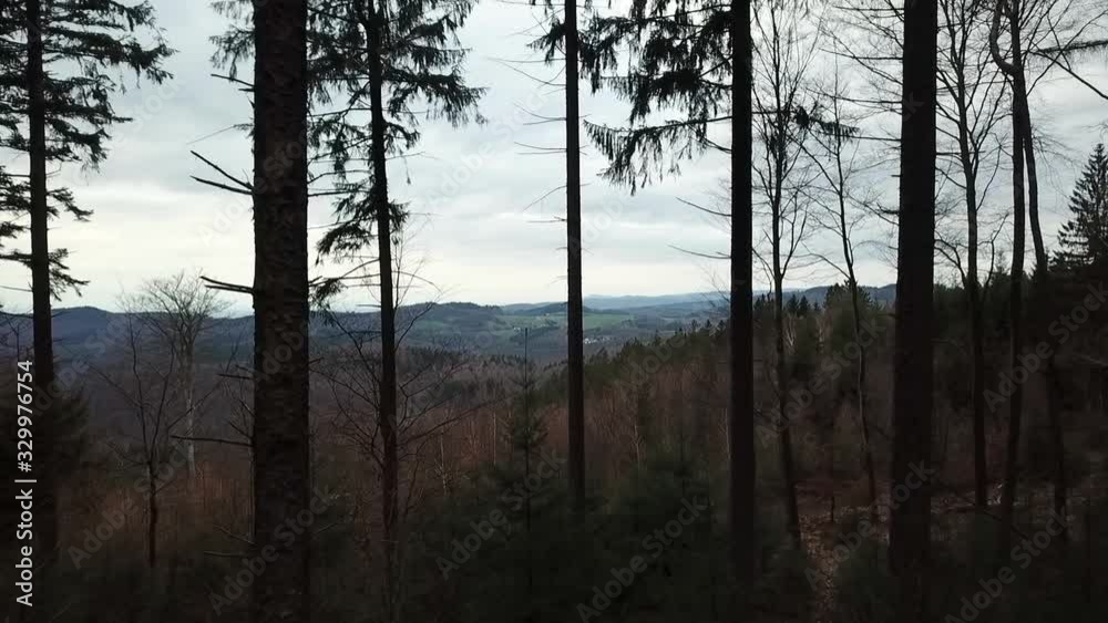 Flying ahead through forest with beautiful landscape view. Flying ahead through forest with beautiful landscape view.