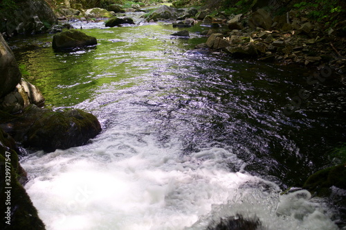Japanese mountain stream and moss