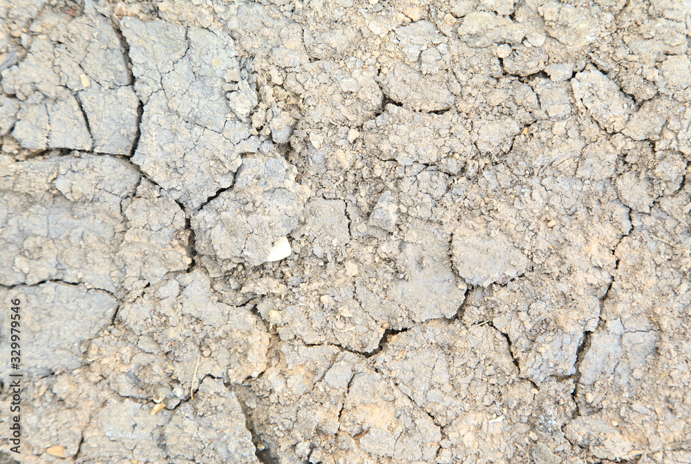 cracked earth background cracked earth background