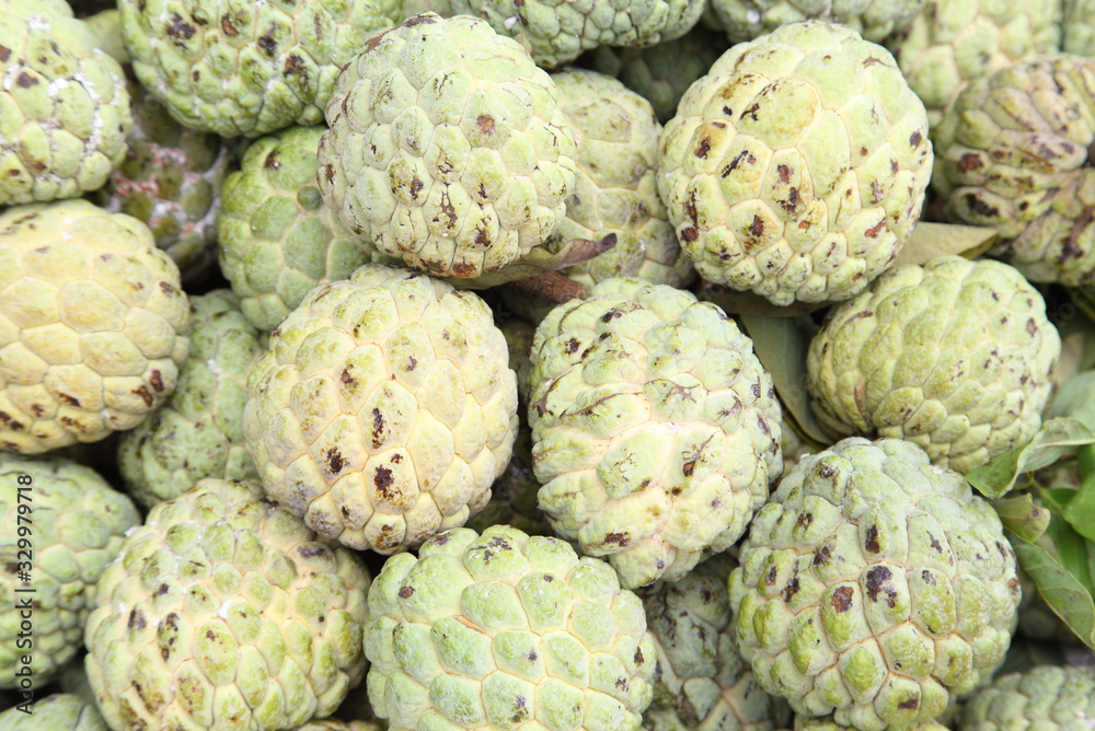 Custard apple Custard apple