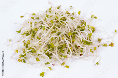Foto Fresh healthy alfalfa sprouts on white background