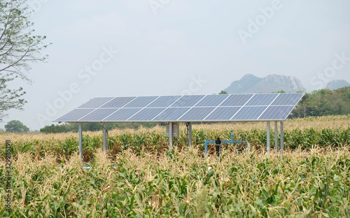 Solar cell panel with Corn field.Using solar energy.