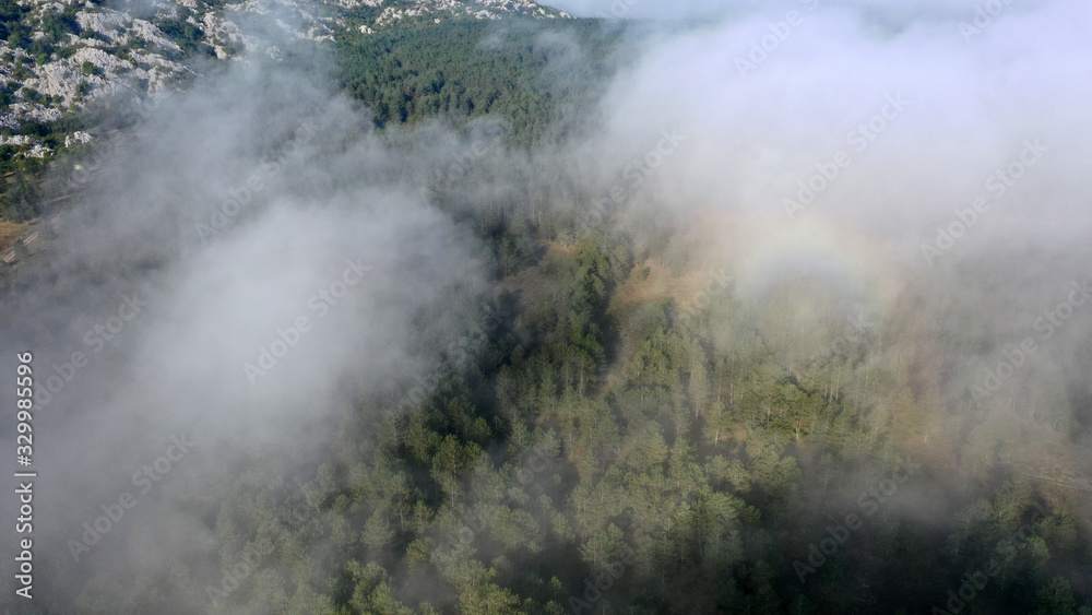 Aerial view of pine and fir-tree forest in mist early morning. Mysterious cloudy and foggy weather. Grahovo village, Montenegro nature. Drone flies in clouds above rare spruces. 4k. Aerial view of pine and fir-tree forest in mist early morning. Mysterious cloudy and foggy weather. Grahovo village, Montenegro nature. Drone flies in clouds above rare spruces. 4k.