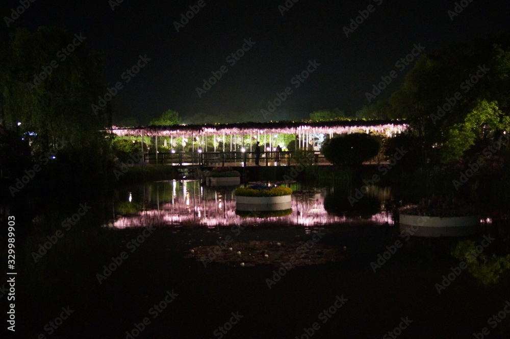 Botanical Garden in full bloom at night