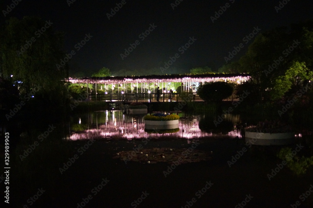 Botanical Garden in full bloom at night Botanical Garden in full bloom at night