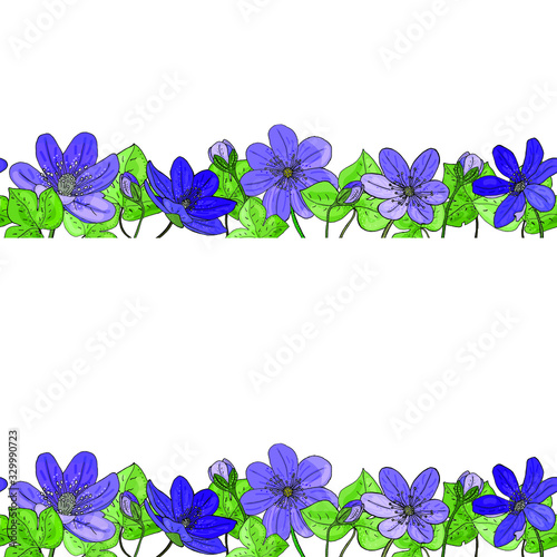 Horizontal vectonic border of isolated flowers, buds, leaves. Snowdrops, lilies, anemones, purple inflorescences are drawn by hand. Botanical vector elements on a white background.