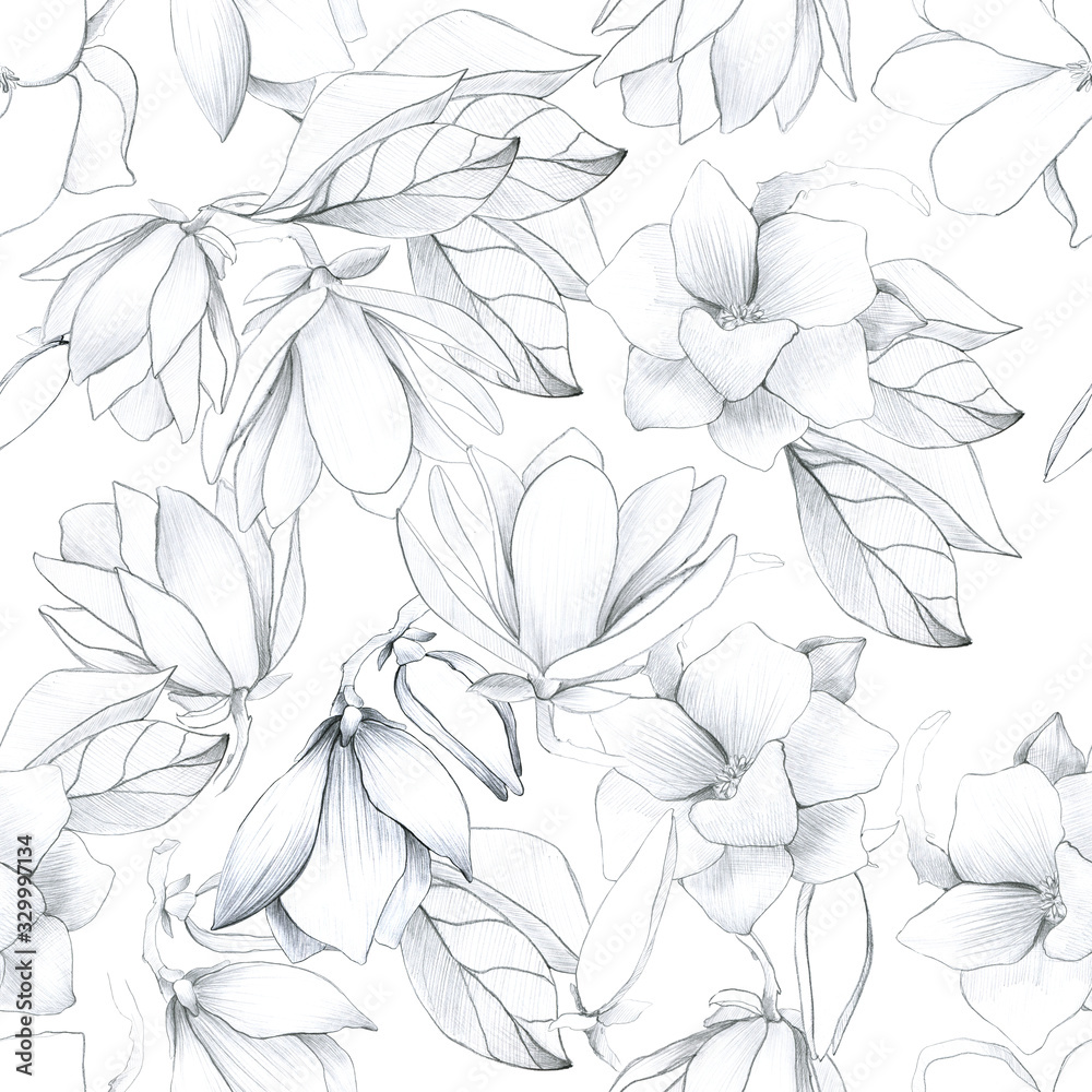 Seamless pattern with pencil magnolia. magnolia buds. manual graphics. Botanical flower, mascara, floral pattern for textile decoration and design, patterns. botanical color illustration. 