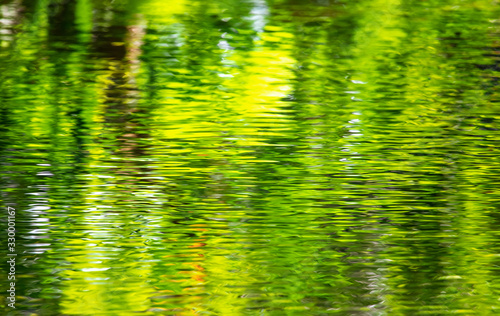 Green expanse of water on a pond