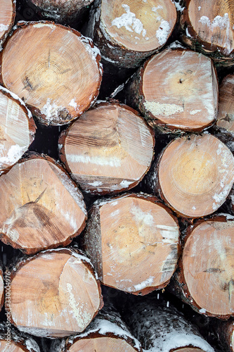 A pile of round pine logs in the snow background.