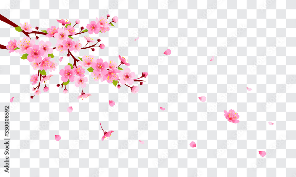 Spring Sakura branch with falling petals Vector illustration. Pink Cherry blossom on fake transparent background. Spring Sakura branch with falling petals Vector illustration. Pink Cherry blossom on fake transparent background.