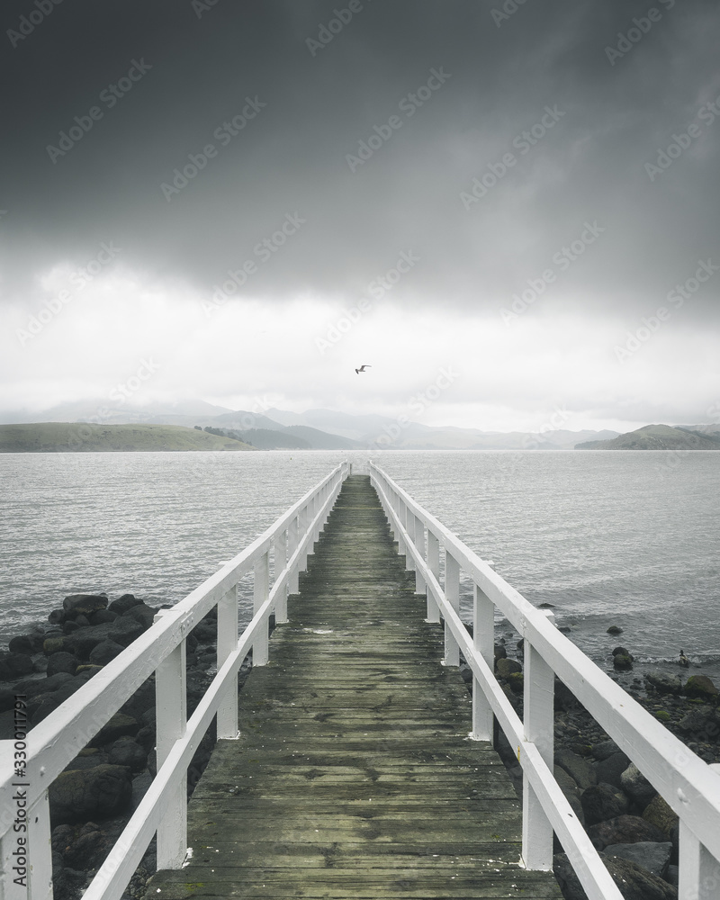 Obraz premium Human Nature