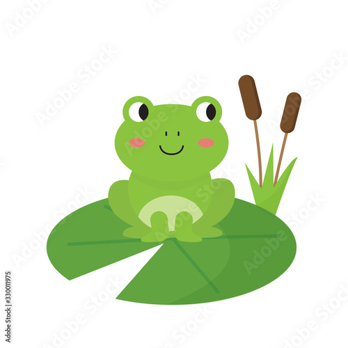 Cute happy green frog sitting on water lily.