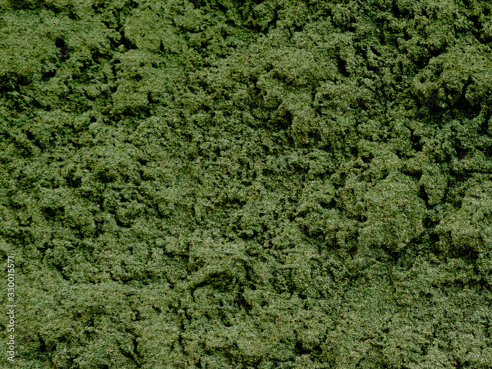 Obraz premium Natural hd wallpaper, deep green natural marble texture, 