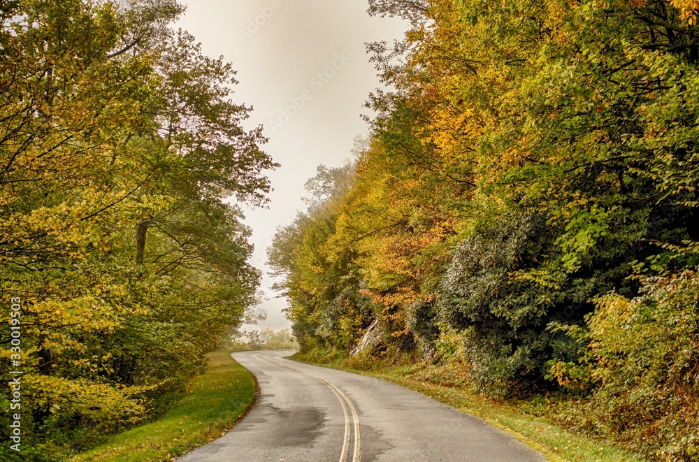 Fototapeta premium autumn season in apalachin mountains on blue ridge parkway