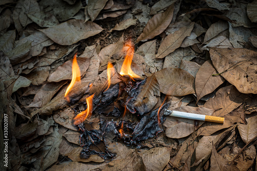 Close up cigarette butt non-smoked carelessly are thrown into dry grass on the ground causing a dangerous forest fire, eclogical cotostrophy through human fault concept photo