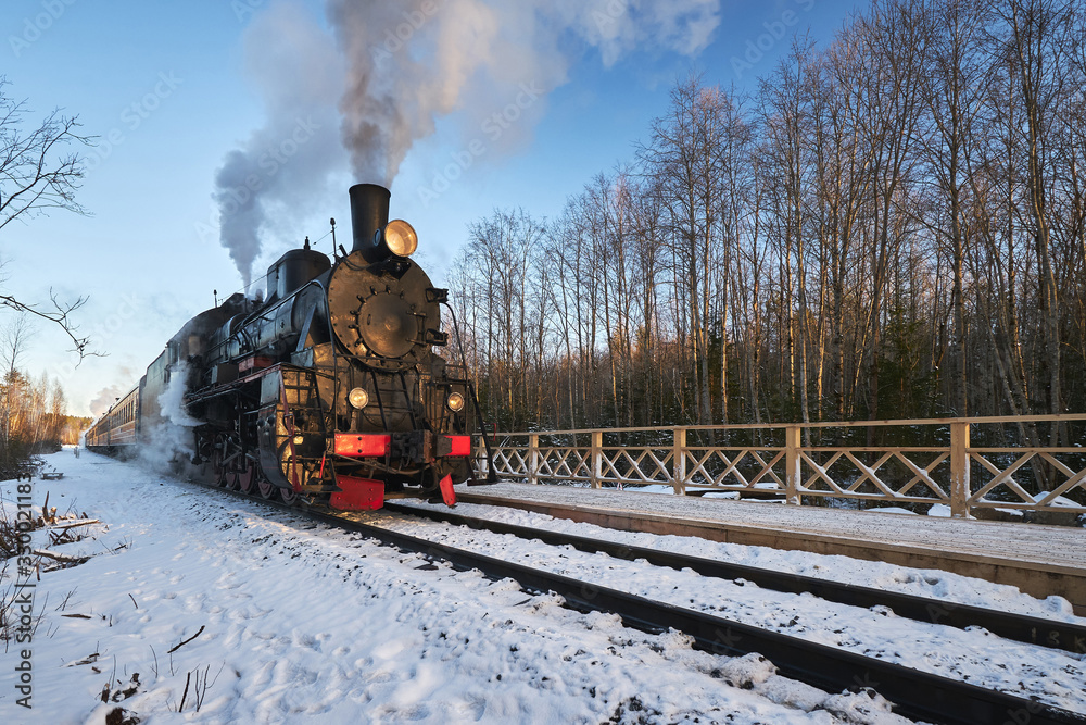 Obraz premium Brązowy pociąg ekspresowy w Karelii