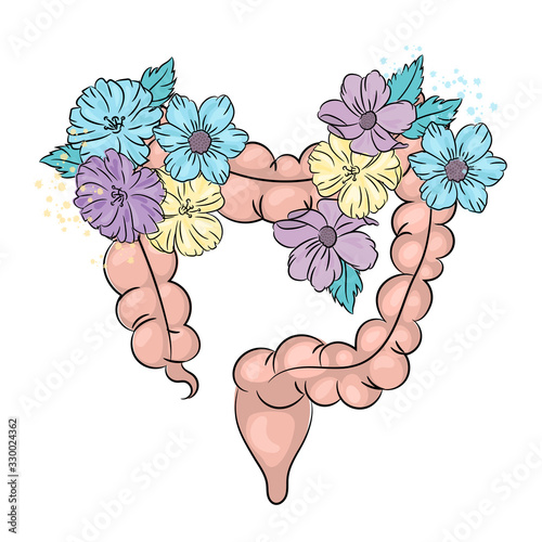 HEALTHY INTESTINES Medicine Human Health Lifestyle Holiday Floral Vector Illustration Set