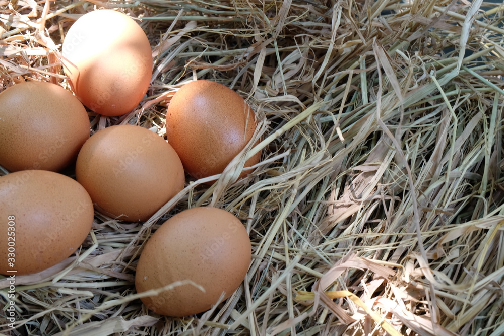 Eggs in the nest on the straw Eggs in the nest on the straw