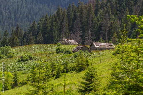 Old ruined wooden houses in the Carpathians