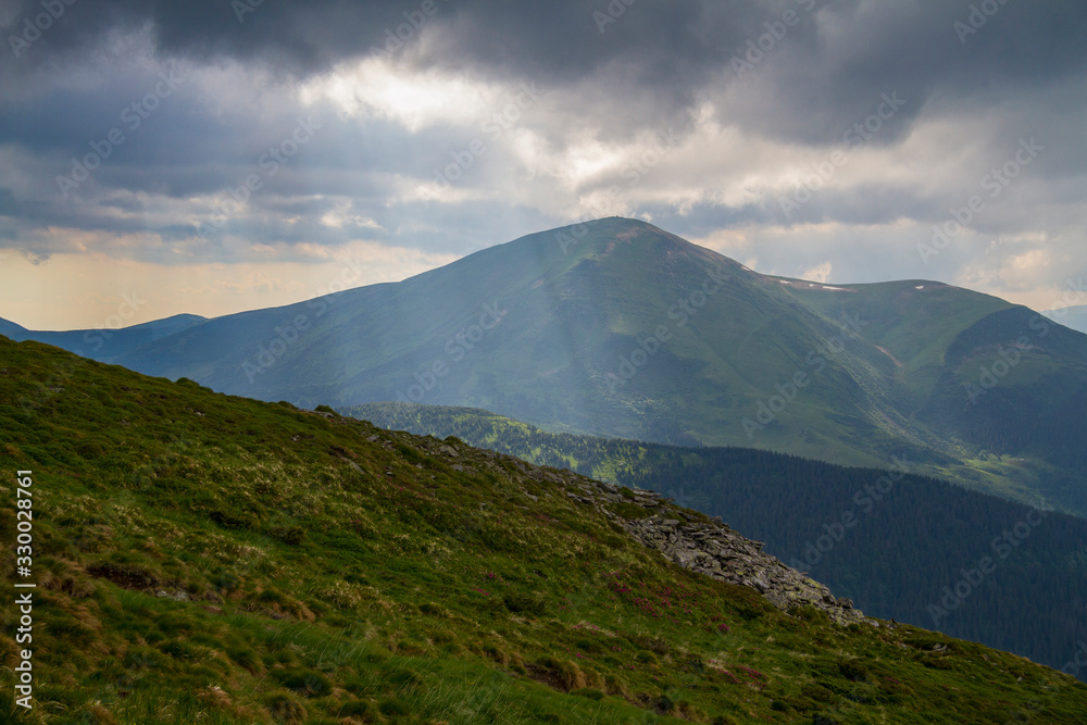 Summer landscape, Carpathian mountains Summer landscape, Carpathian mountains