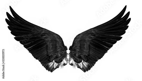 black&white wings isolated on a white