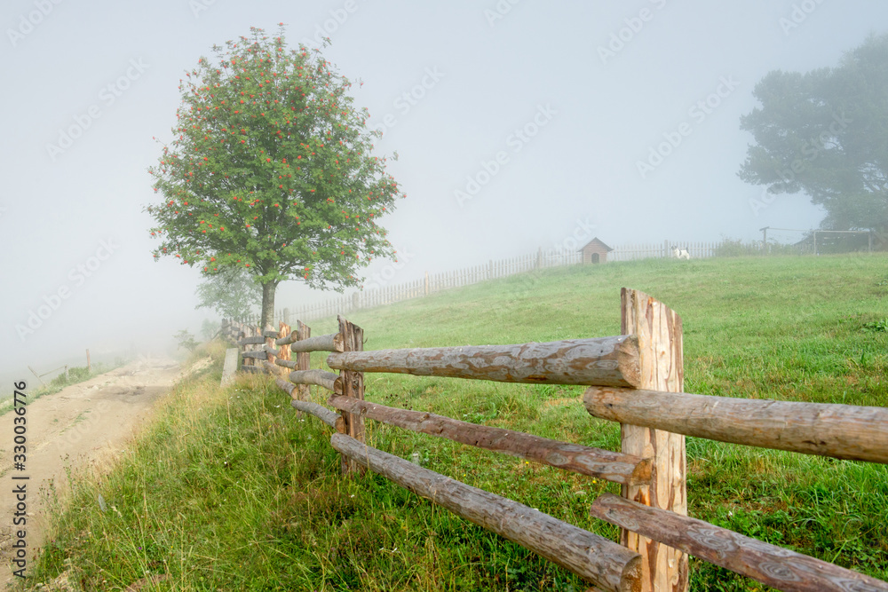 Wooden fence and tree in the fog, scenic landscape countryside