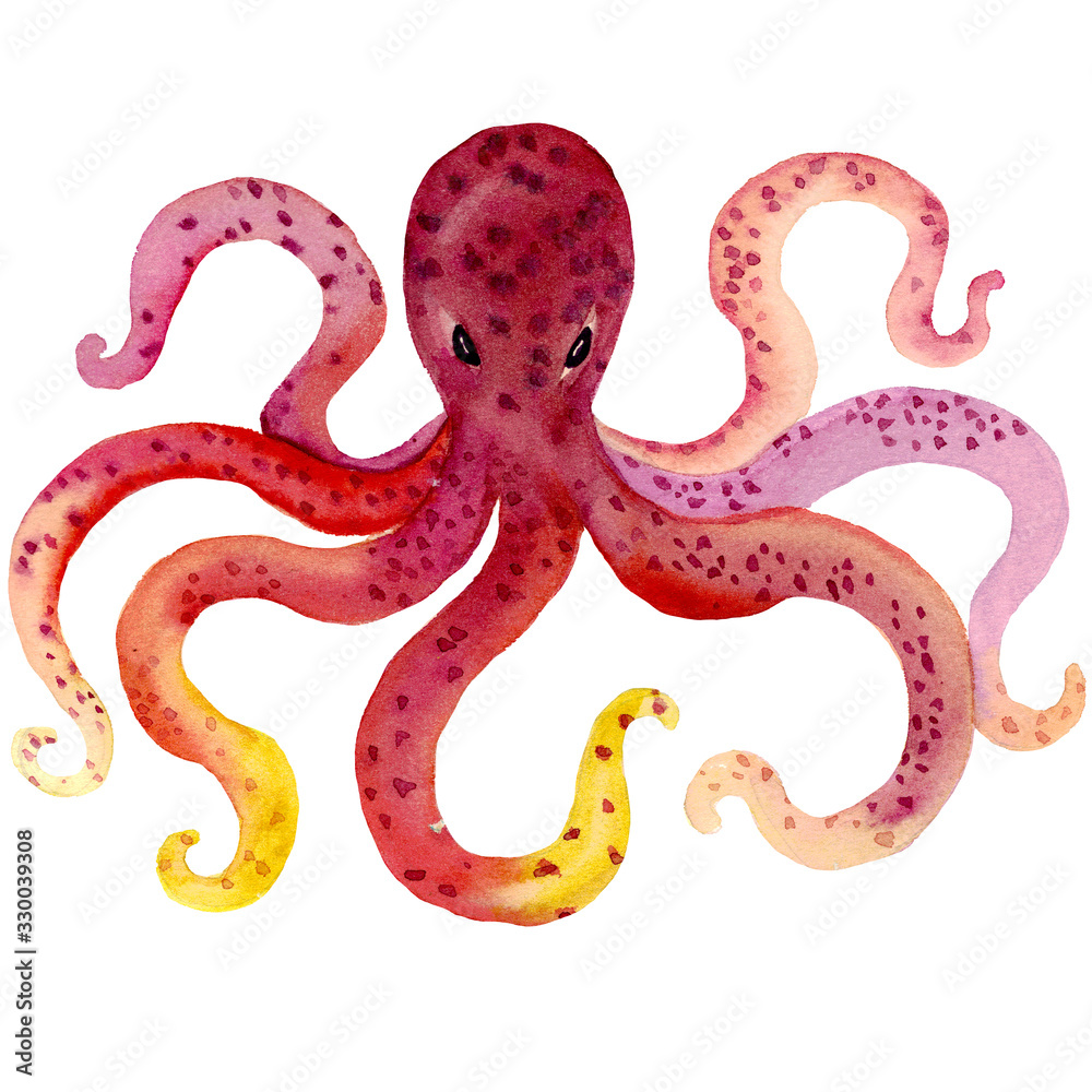 Watercolor hand drawn illustration of octopus in red color with spots. Red,  pink and yellow colors octopus tentacles. Animal cartoon style  illustration. Design for covers, backgrounds, decorations. Stock  Illustration | Adobe Stock