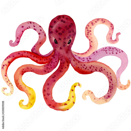 Watercolor hand drawn illustration of octopus in red color with spots. Red, pink and yellow colors octopus tentacles. Animal cartoon style illustration. Design for covers, backgrounds, decorations.