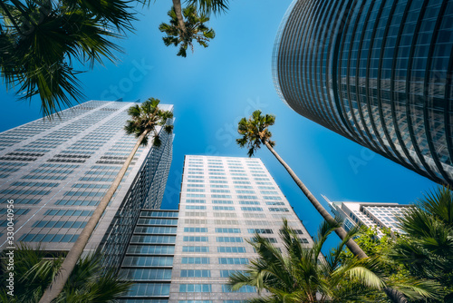 Upwards perspective of major high rise landmarks in Sydney CBD, View from the small green square featuring super tall skinny palm trees.