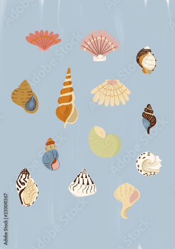 Sea Shells