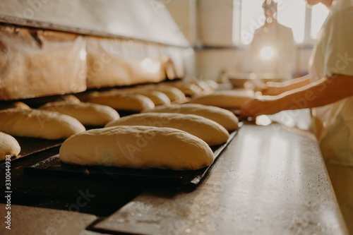 Fototapeta Bread bakery food factory. White bread. loaf