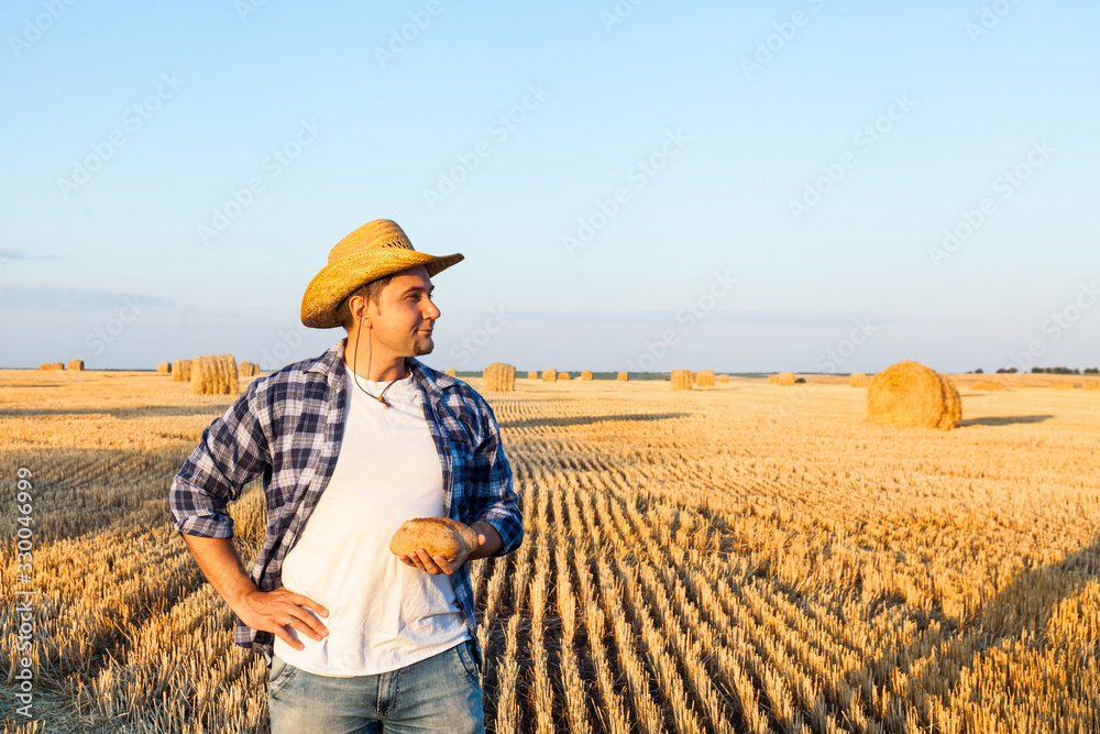 successful agriculturist in field of wheat. harvest time