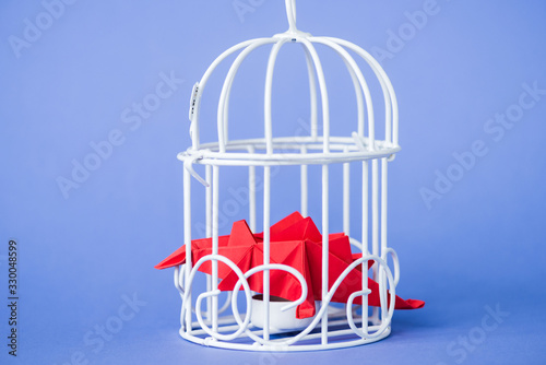 Photography origami birds in metallic cage on blue