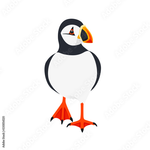Atlantic puffin bird walking cartoon animal design flat vector illustration isolated on white background