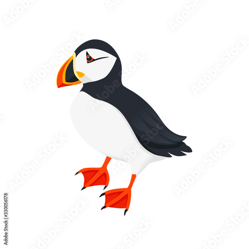 Atlantic puffin bird cartoon animal design flat vector illustration isolated on white background
