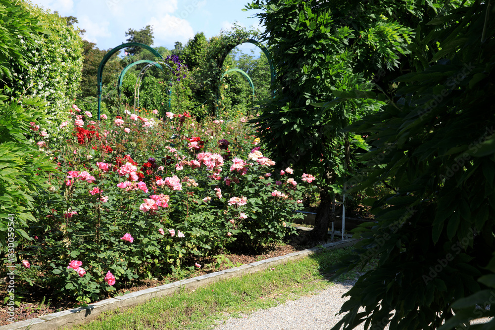 Stresa (VCO), Italy - June 02, 2018: Villa Pallavicino garden, Stresa, Verbano-Cusio-Ossola, Piedmont, Italy. Stresa (VCO), Italy - June 02, 2018: Villa Pallavicino garden, Stresa, Verbano-Cusio-Ossola, Piedmont, Italy.