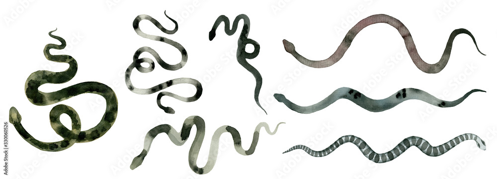 green different snakes, set of abstract watercolor, hand drawing, illustration green different snakes, set of abstract watercolor, hand drawing, illustration