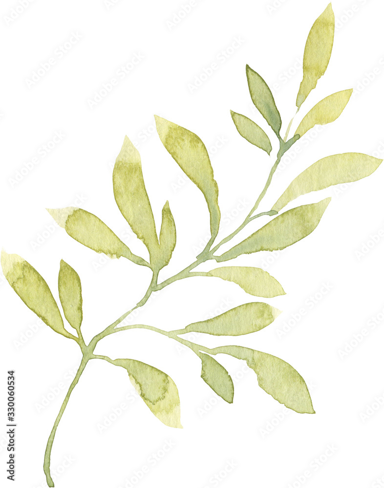 Green watercolor hand painted leaves. Isolated on white background. High resolution. Best for digital scrapbooking, wedding invitation, birthday cards, greeting, trendy design, print on textile, 