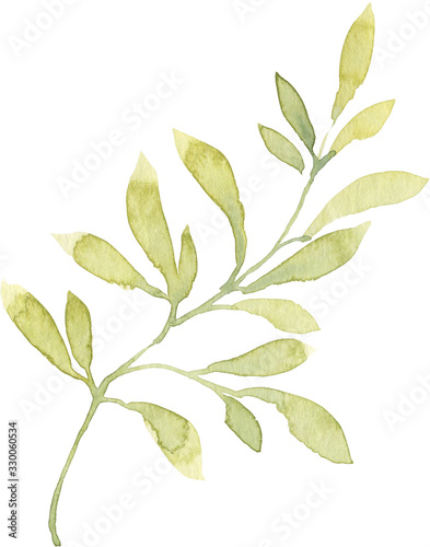 Green watercolor hand painted leaves. Isolated on white background. High resolution. Best for digital scrapbooking  wedding invitation  birthday cards  greeting  trendy design  print on textile  
